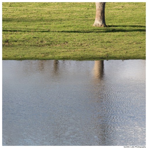 Severn Way. Shrewsbury to Ironbridge
