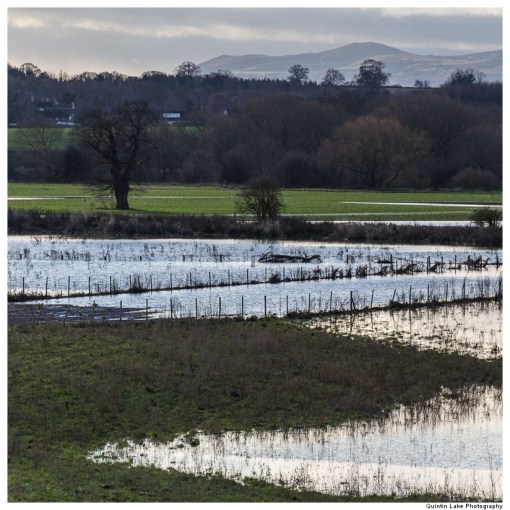 Severn Way. Shrewsbury to Ironbridge