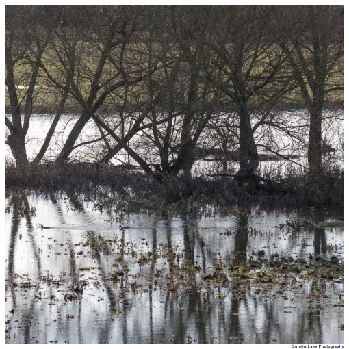 Severn Way. Shrewsbury to Ironbridge