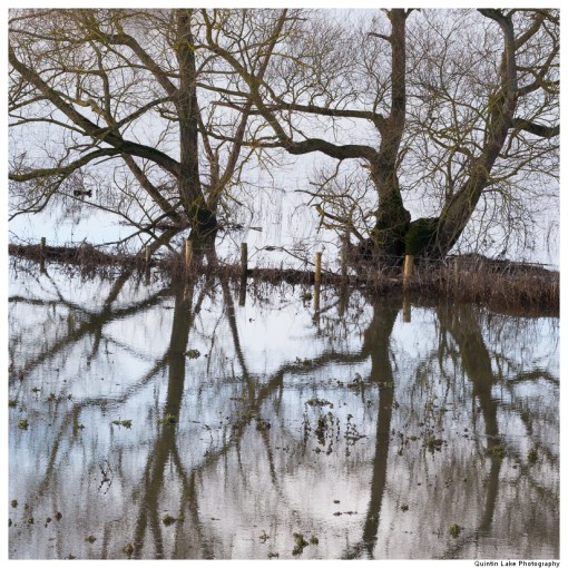 Severn Way. Shrewsbury to Ironbridge