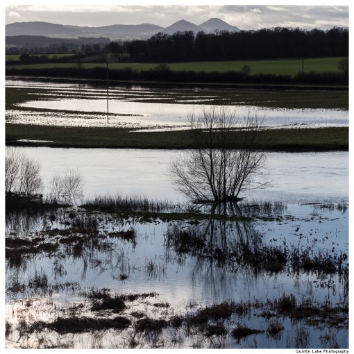 Severn Way. Shrewsbury to Ironbridge