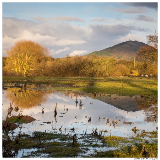 Severn Way. Shrewsbury to Ironbridge