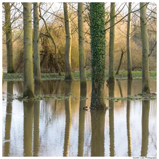 Severn Way. Shrewsbury to Ironbridge