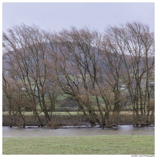 Severn-Welshpool-Shrewsbury-QJEL-800-03
