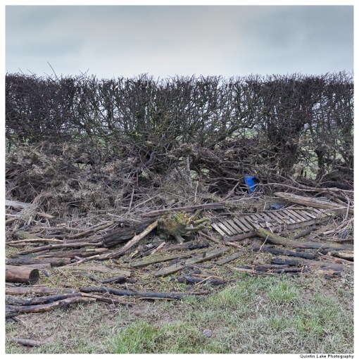 Severn-Welshpool-Shrewsbury-QJEL-800-04