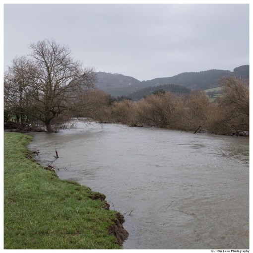 Severn-Welshpool-Shrewsbury-QJEL-800-05