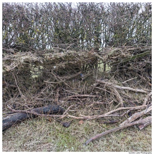 Severn-Welshpool-Shrewsbury-QJEL-800-07