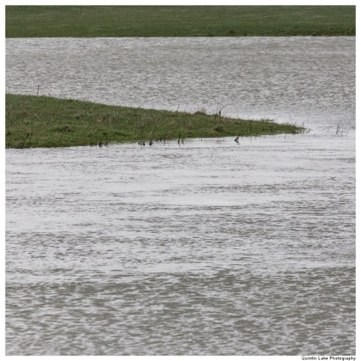 Severn-Welshpool-Shrewsbury-QJEL-800-10