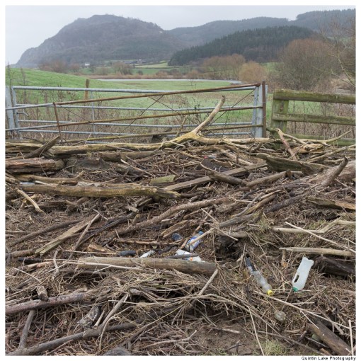 Severn-Welshpool-Shrewsbury-QJEL-800-11