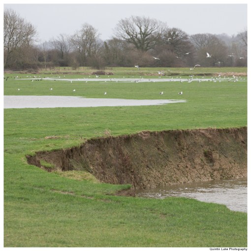 Severn-Welshpool-Shrewsbury-QJEL-800-15