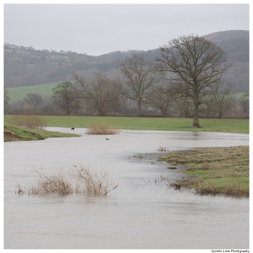 Severn-Welshpool-Shrewsbury-QJEL-800-16