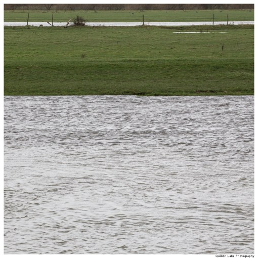 Severn-Welshpool-Shrewsbury-QJEL-800-17