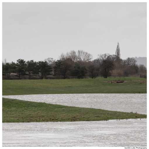 Severn-Welshpool-Shrewsbury-QJEL-800-18