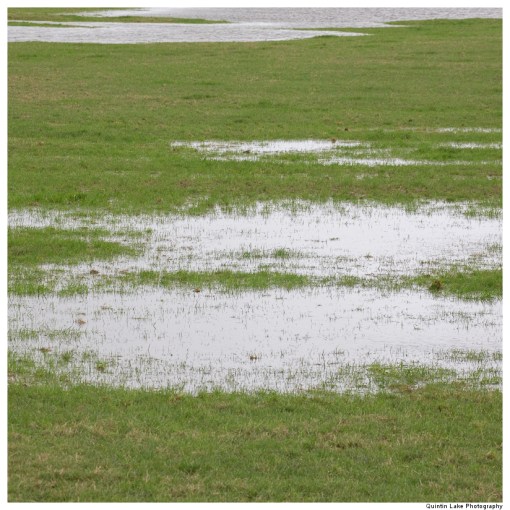 Severn-Welshpool-Shrewsbury-QJEL-800-19