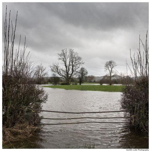 Severn-Welshpool-Shrewsbury-QJEL-800-20