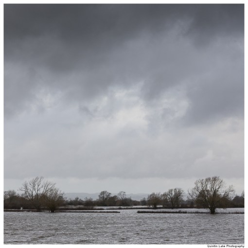 Severn-Welshpool-Shrewsbury-QJEL-800-21