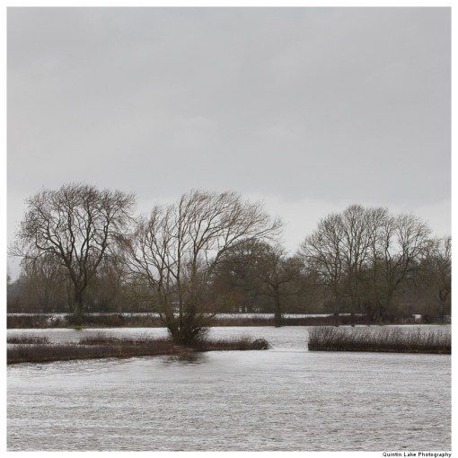 Severn-Welshpool-Shrewsbury-QJEL-800-23