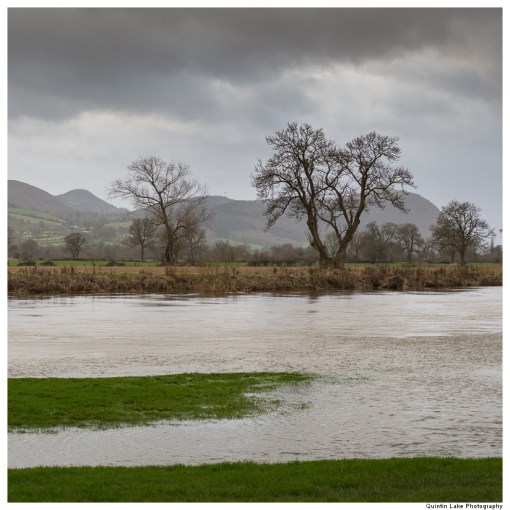 Severn-Welshpool-Shrewsbury-QJEL-800-25