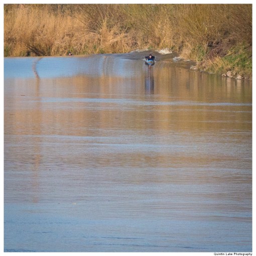 Five Star Severn Bore viewed from Minsterworth, Gloucestershire