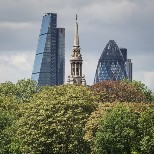 The Cheesegrater, St Paul's, Shadwell and the Gherkin from Rotherhithe