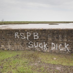 RSPB Suck Dick, Hoo Peninsula.