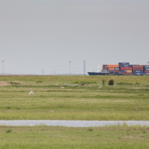 Container ship on the Thames from the Hoo Peninsula.