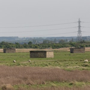 Uplees marshes, gunpowder works, Faversham.