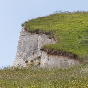 Shakespeare cliff I, Dover.