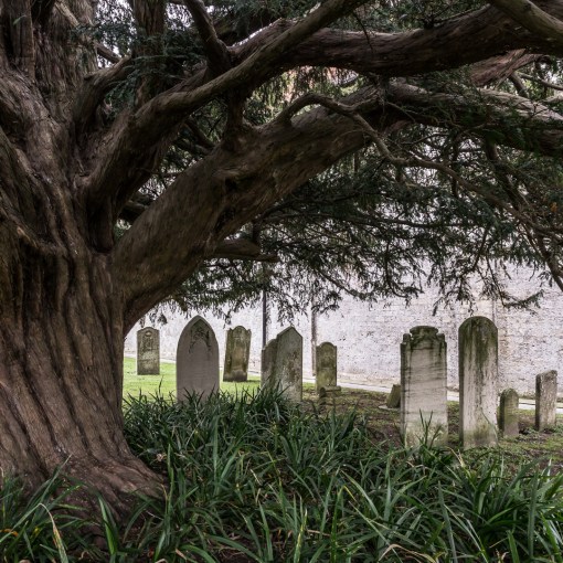 Graveyard, St Mary's Portchester, Hampshire.