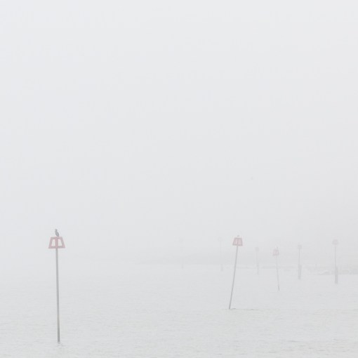 Foggy Groynes at Mudeford, Dorset.