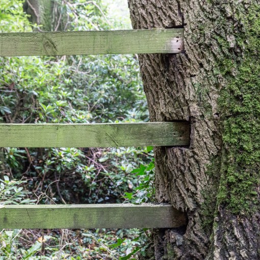 Chewton Bunny, the valley marking the Hampshire &amp; Dorset border, Dorset.