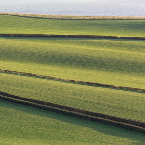 Chesters Hill, Dorset.
