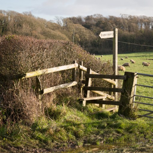 Footpath to Abbotsbury, Dorset.