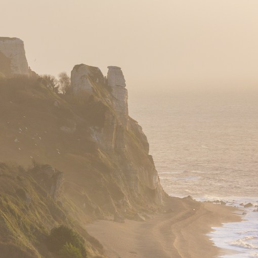 The Pinnacles, Hooken Cliff, Branscombe, Devon.