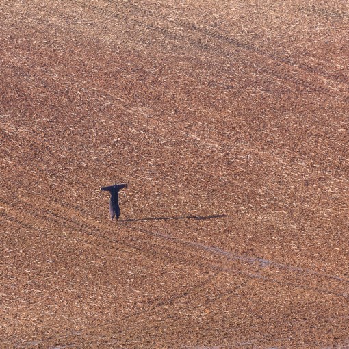 Scarecrow, West Down Farm, Devon.