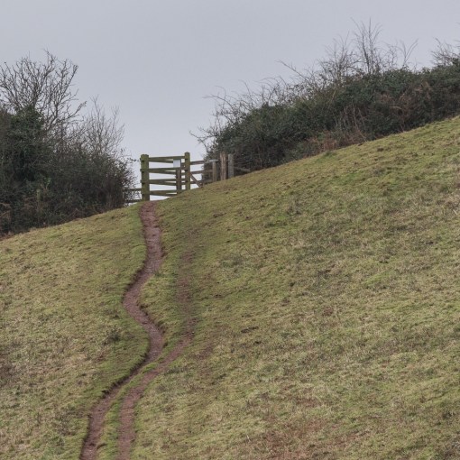 Coast path above Ness Cove, Devon.