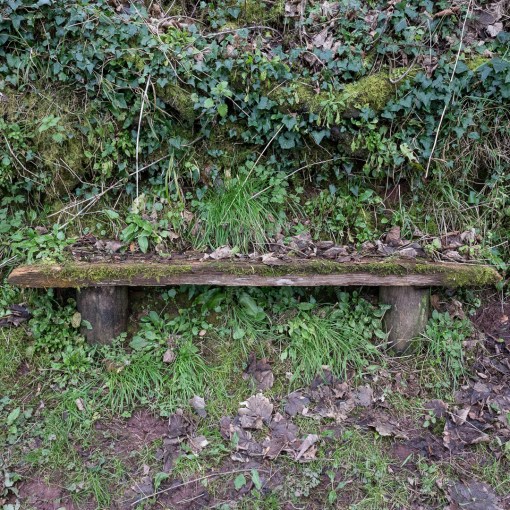 Bench, Babbacombe, Devon.