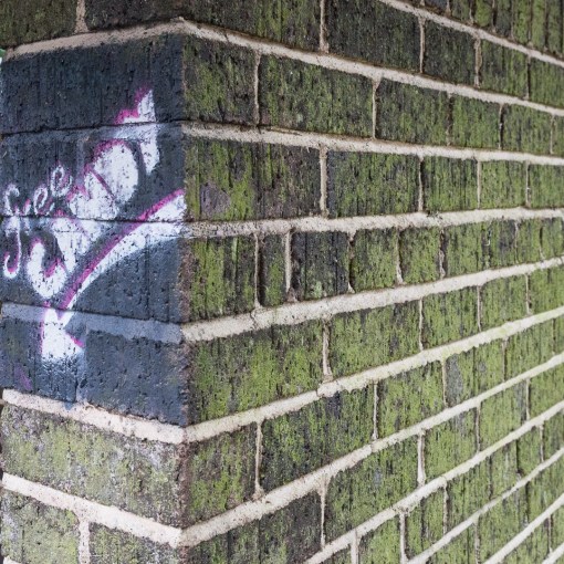 Free Candy, Babbacombe, Devon.