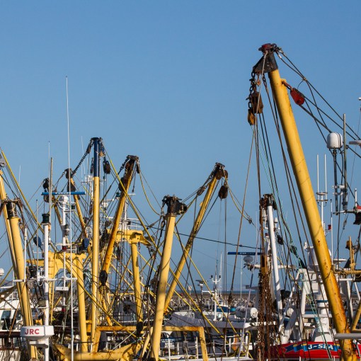 Fishing trawlers, Brixham harbour, Devon.