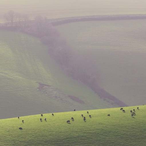 Woodhuish Farm, Devon.