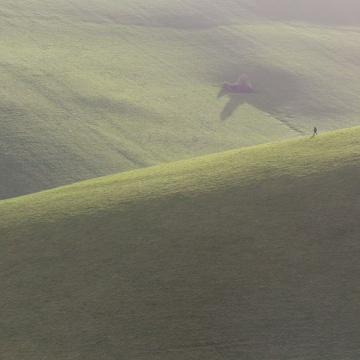 Woodhuish fields, Devon.