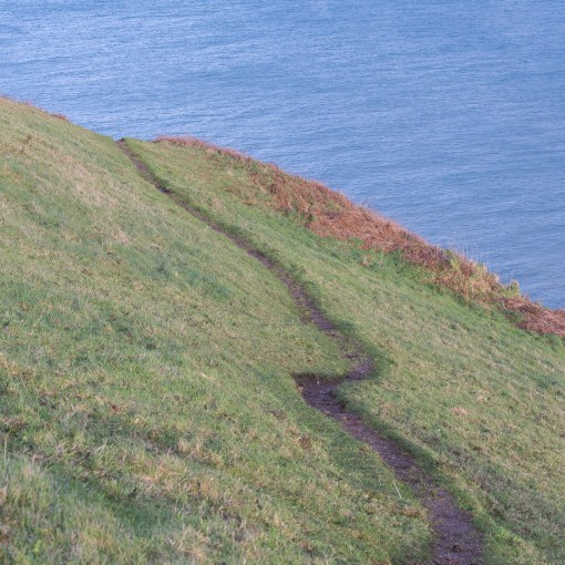 Scabbacombe Head, Devon.
