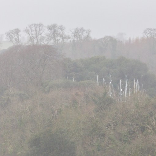 Masts, Waddeton Quarry, Devon.