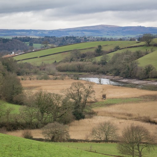 River Dart with Dartmoor beyond, Devon.