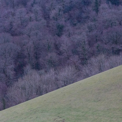 Lower Dittisham, Devon.