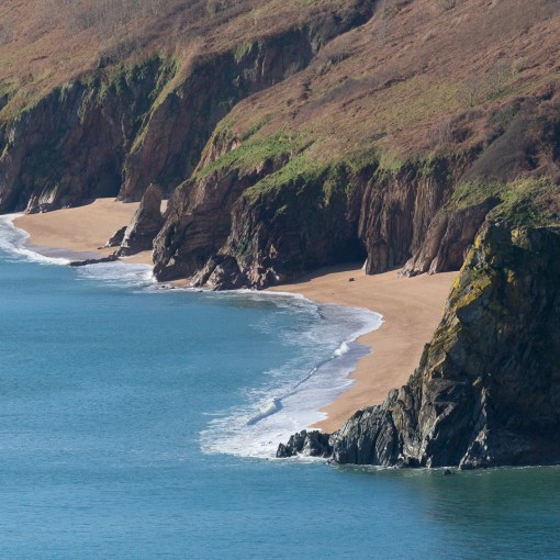 Forest &amp; Landcombe Coves, Devon.