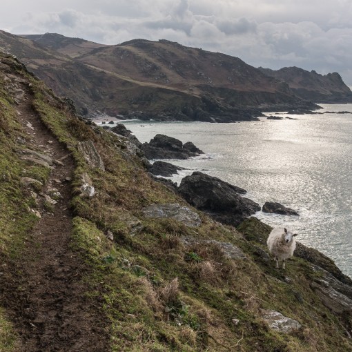 South West Coast Path from Pig’s Nose, Devon.