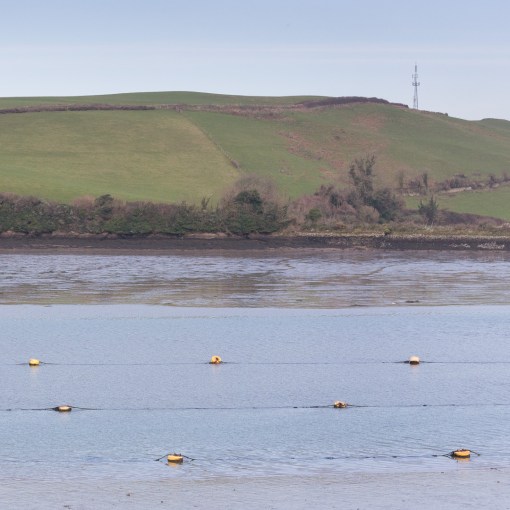 Communications mast, Southpool Creek, Devon.