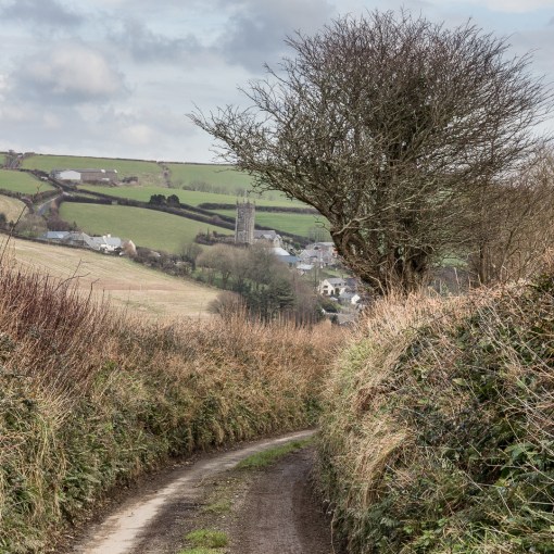 Lane to South Pool, Devon.
