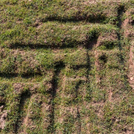 Tractor tracks, Latchbrook, Cornwall.